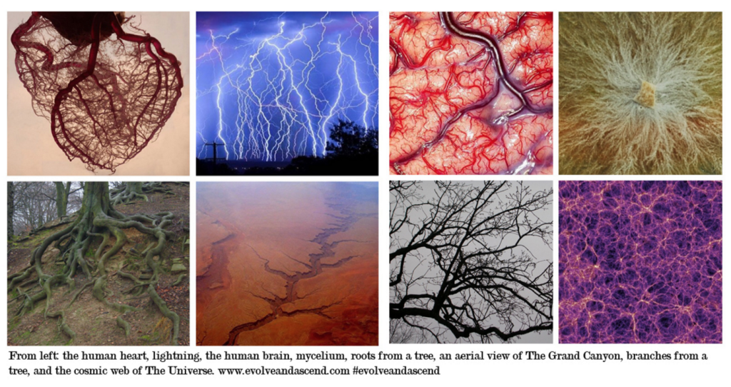 How is Soccer Related to Nature